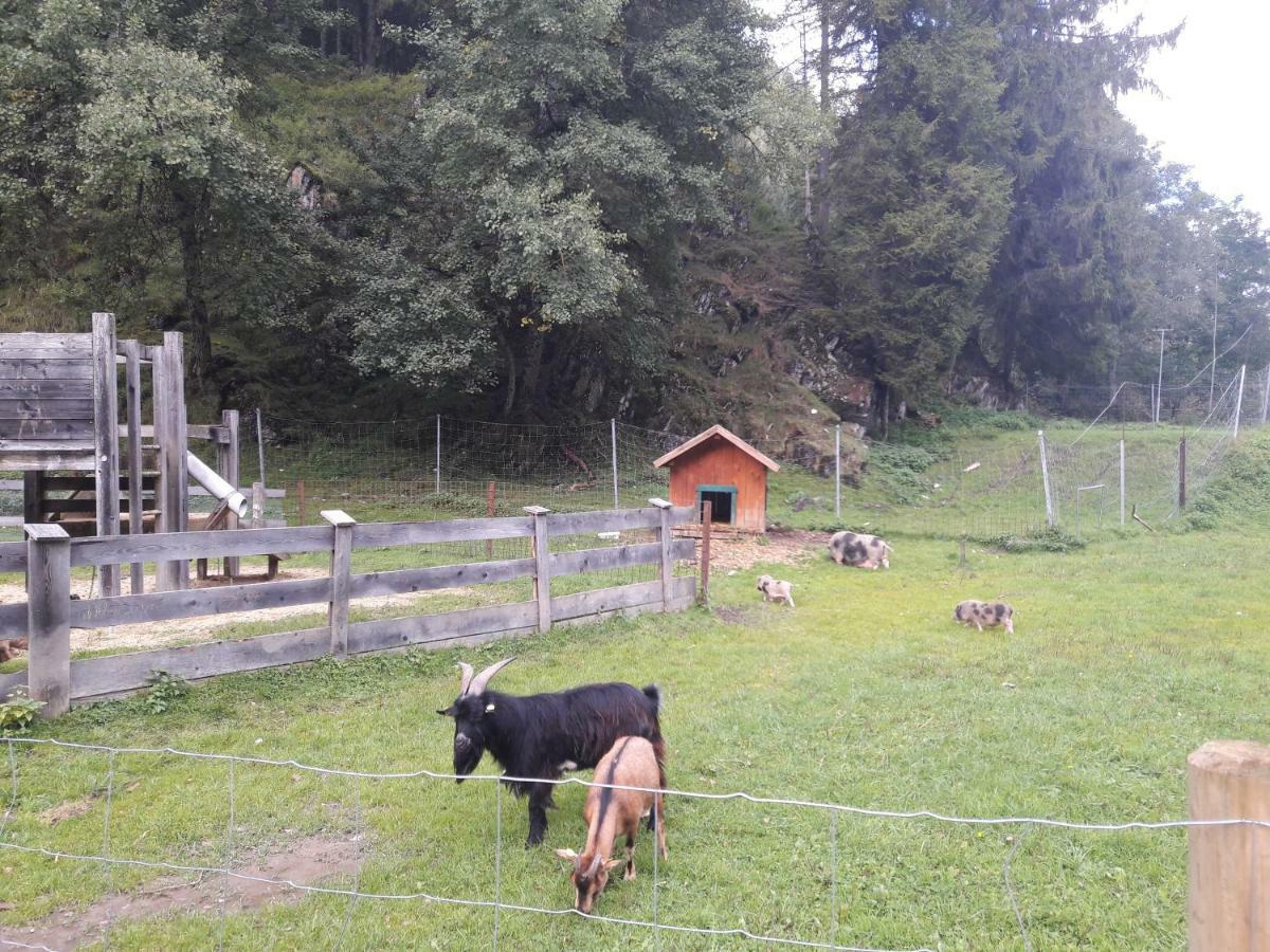 Ferienwohnung Alpklang Untertauern Esterno foto