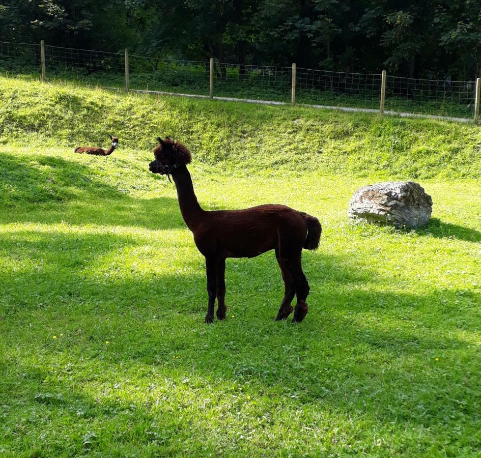 Ferienwohnung Alpklang Untertauern Esterno foto