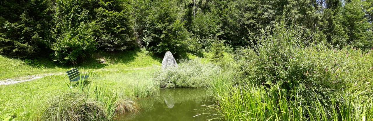 Ferienwohnung Alpklang Untertauern Esterno foto